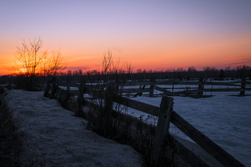sunset in farm