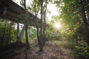 Abandoned uninhabited city overgrown with trees and bushes. The dark houses of the radioactive town. The streets are overgrown with forests. An old building among the plants.