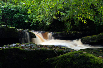 Obraz premium waterfall in the forest
