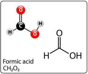 Formic Acid Molecule Structure