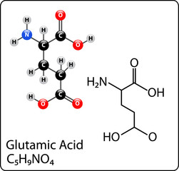Glutamic Acid Molecule Structure