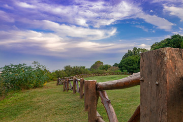 Landscape with fence