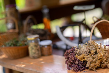 herbalist workshop
