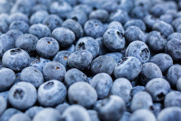 Close up fresh blueberries grouped macro background