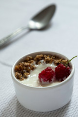 yogurt with berries