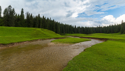Summer scenery in Transylvania, with beautiful meadow and a lake in the mountains