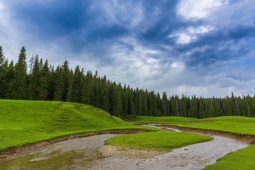 Summer scenery in Transylvania, with beautiful meadow and a lake in the mountains
