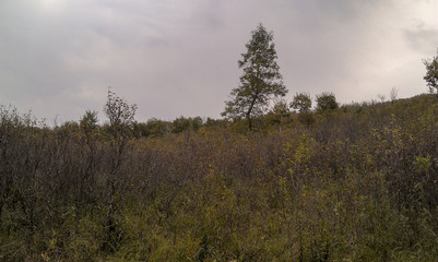 Obraz premium Natural beauty of Northern Saskatchewan