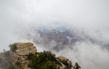 View on Grand Canyon under heavy fog