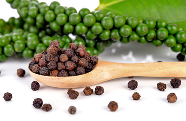 Fresh green peppercorns and black peppercorns isolated on white background