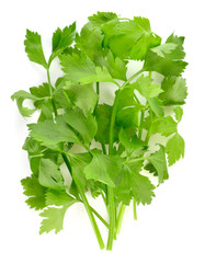 fresh celery isolated on a white background