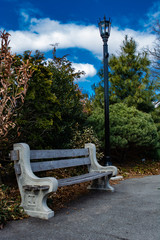 Bench in the park