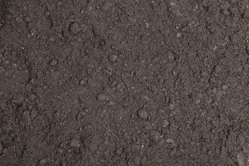 Fertile surface soil suitable for planting, soil texture background. - obrazy, fototapety, plakaty
