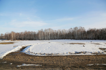 Reflection of the forest in the melted snow