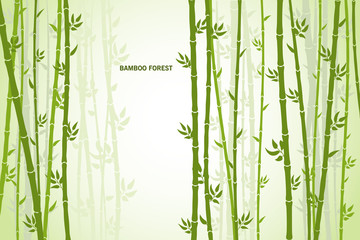 Vector greeting card with bamboo on a light background.
