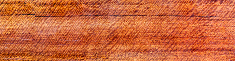 Panorama real Wood has tiger stripe or curly stripe grain, wooden exotic beautiful pattern for crafts or abstract art Background texture