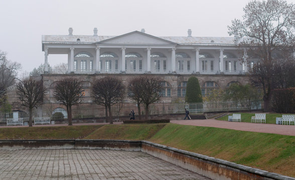 Fog in the city Park, Catherine's palace, St. Petersburg, Russia
