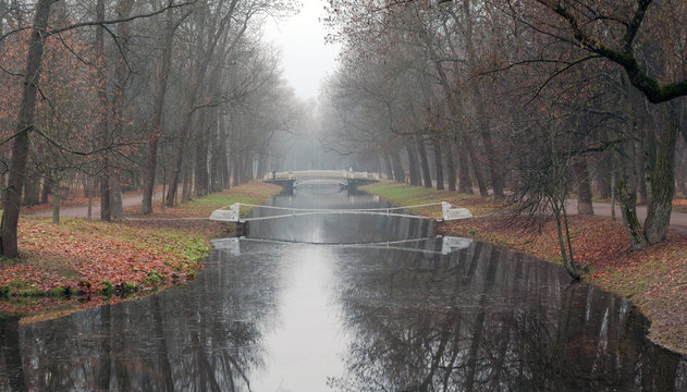 autumn, Fog in the city Park, Catherine's palace, St. Petersburg, Russia