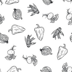 Vegetable doodle pattern hand drawing on white background. Doodle drawing vegetable pattern. Ripe autumn crop and farming harvest. Market garden background. Fitness diet and healthy nutrition.