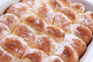 typical czech cake with plum jam