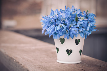 A bouquet of beautiful forest flowers in a toy bucket