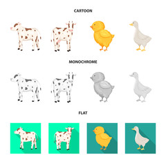 Vector illustration of breeding and kitchen  sign. Set of breeding and organic  stock vector illustration.