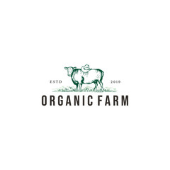 vintage angus / cow farm logo graphic design template vector illustration