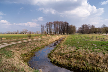 Krajobraz wiejski. Wiosna na Podlasiu. Dolina Narwi © podlaski49