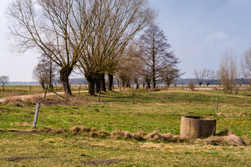 Krajobraz wiejski. Wiosna na Podlasiu. Dolina Narwi © podlaski49