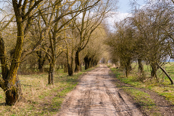 Krajobraz wiejski. Wiosna na Podlasiu. Dolina Narwi