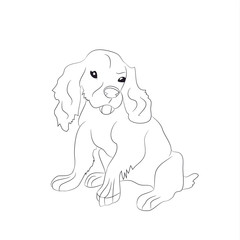 dog sitting, lines, vector