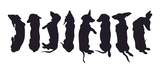 dog lies, silhouette, dachshund, vector