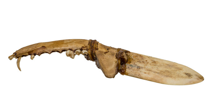 Old knife of the North American Indians of bone and tendon