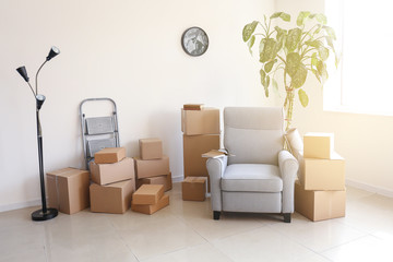 Furniture with moving boxes in room