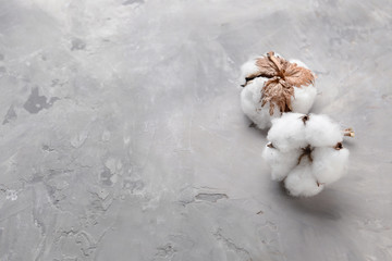 Cotton flowers on grey background