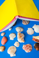 seashell and yellow book on a blue background