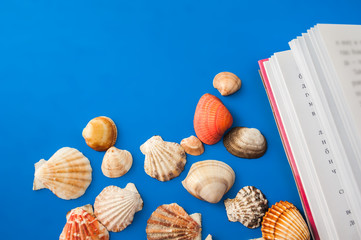 seashell and book on a blue background