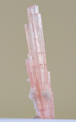 tourmaline  mineral rock gem geology quartz rock