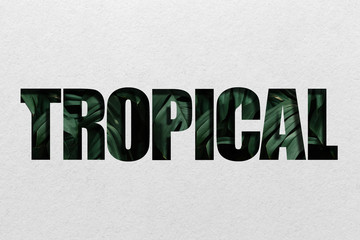 Fototapeta na wymiar Tropical word leaf letter