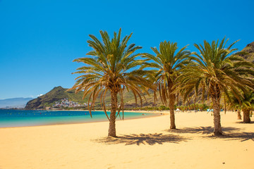 Fototapeta na wymiar palm trees Playa las Teresitas Beach, Tenerife