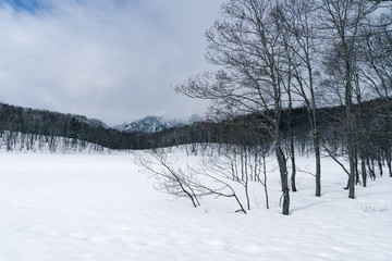 雪に埋もれた鏡池