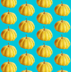 Orange Pumpkins patterned