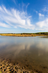 Pond in spring steppe as background
