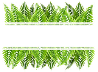 Obraz premium Green fern leaves border with place for Your text