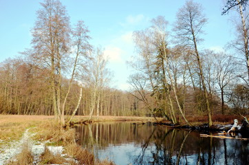 Fototapeta na wymiar River in the forest.