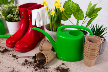 spring composition of gardening tools and plants on wooden table