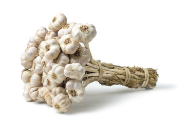 Isolated garlic (Allium sativum) has many medicinal properties and can be used for ingredient food. on white background and clipping path.