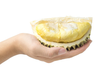 Man hands holding Durian cut into half. isolated on white background and clipping path.