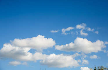 Blue sky with white clouds and green trees.