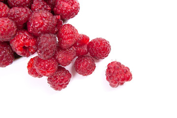Harvested juicy ripe raspberries fruit on white background..